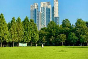 Новочеркасский индустриальный парк посетил с рабочим визитом ректор ДГТУ Бесарион Чохоевич Месхи